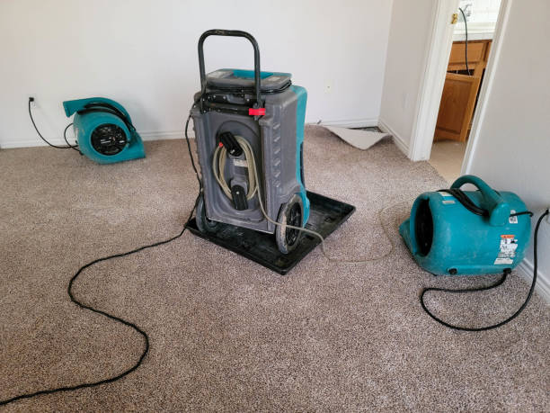 Best Local water damage restoration  in Delmont, PA