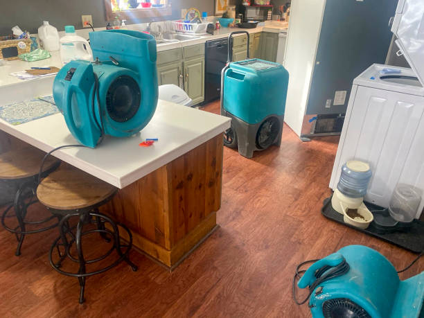 Best Commercial water damage restoration  in Delmont, PA
