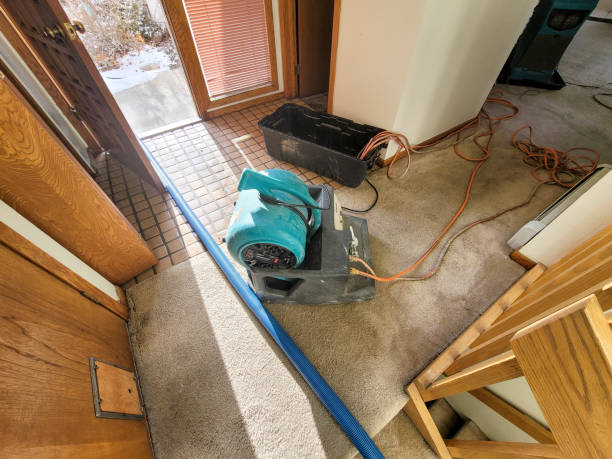 Best Water damage mitigation services  in Delmont, PA