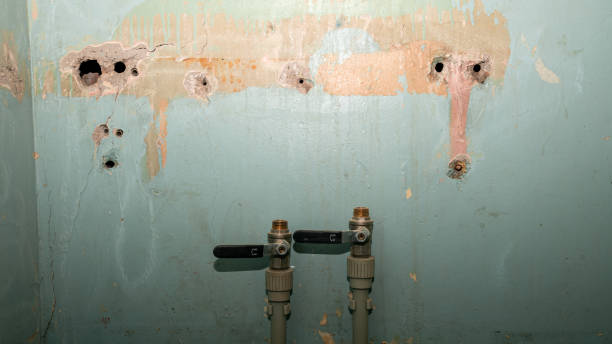 Best Residential water damage restoration  in Delmont, PA