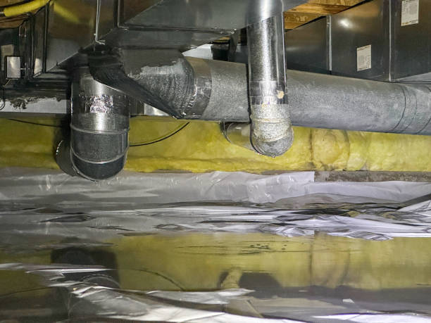Best Professional water damage repair  in Delmont, PA